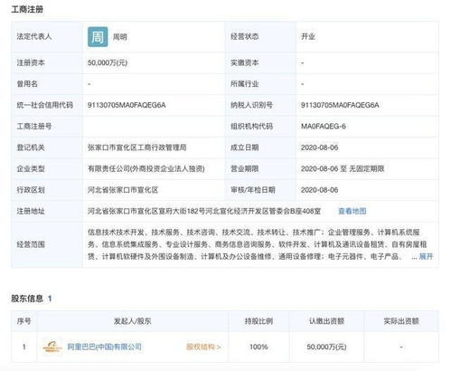 計算之戰 阿里與京東的技術護城河之爭